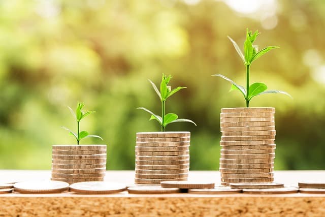 How the Scheme Invests for Your Future